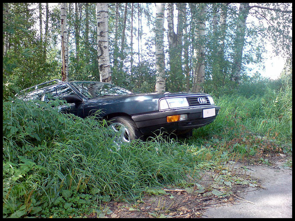 Audi 100