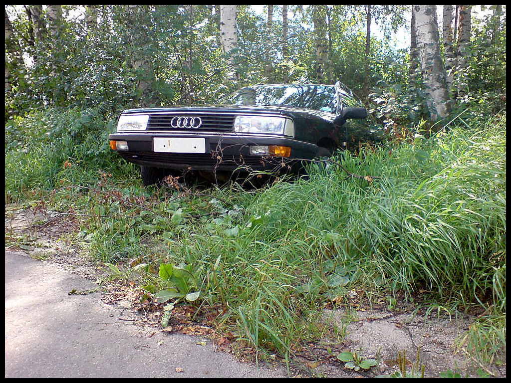 Audi 100
