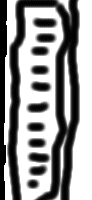 TV6.gif (5191 bytes)